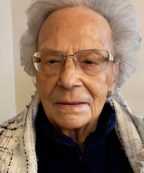 Adelaide da Silva Ribeiro Araújo (2)