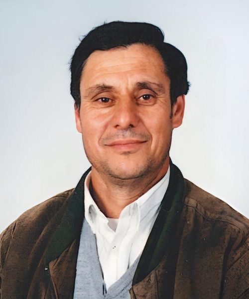 Adelino Martins da Silva