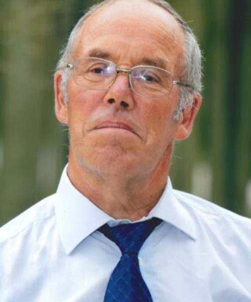 Alberto Gonçalves Furtado