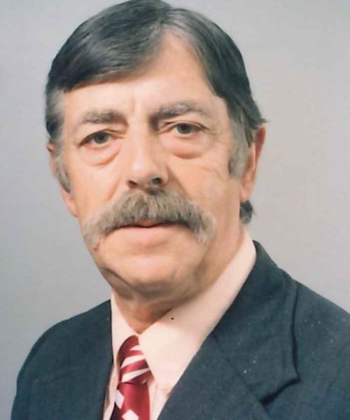 Alberto da Costa Capelo