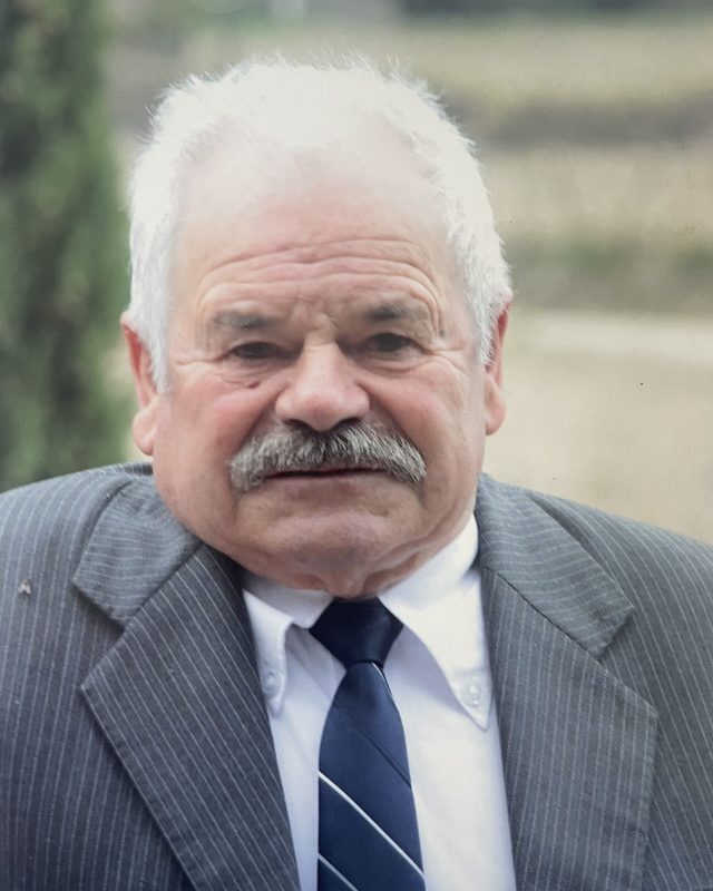 Albino Ferreira da Silva