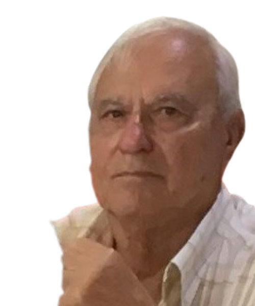 Alcides Lima Rebelo Mendes