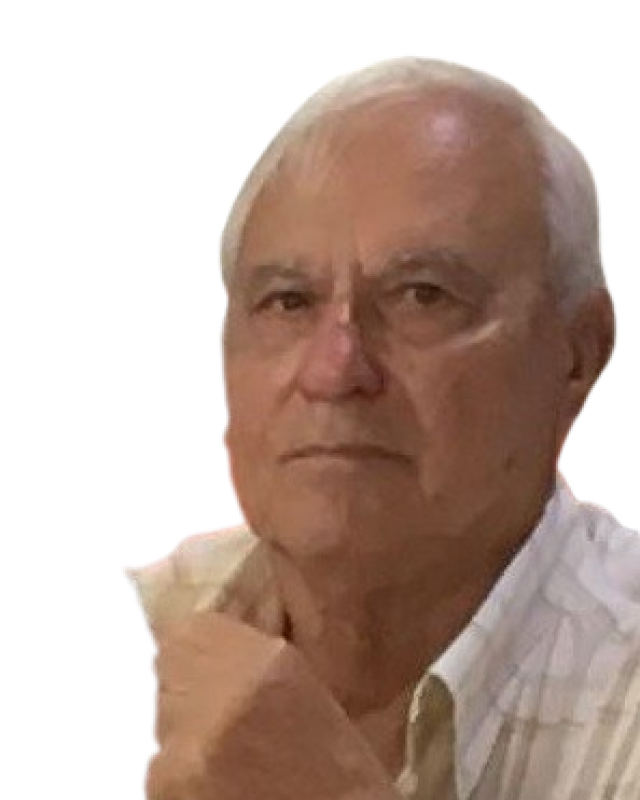 Alcides Lima Rebelo Mendes