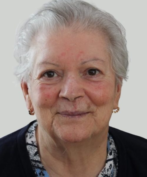 Alcina de Lima Vilas Boas Fernandes