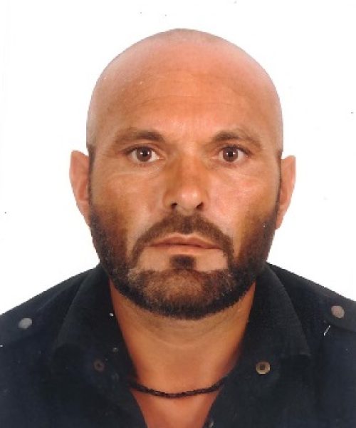 Alexandre Alberto Fernandes Neto redes