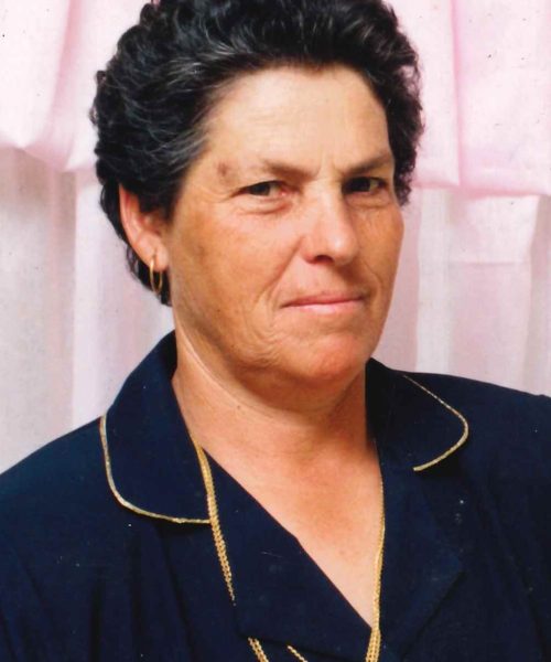 Alexandrina Pereira de Araújo
