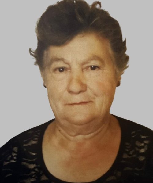 Alice Ferreira Carvalho Silva