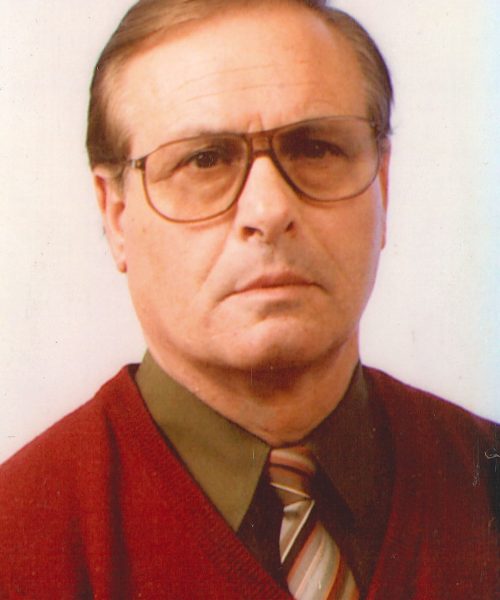 Amadeu da Silva Martins