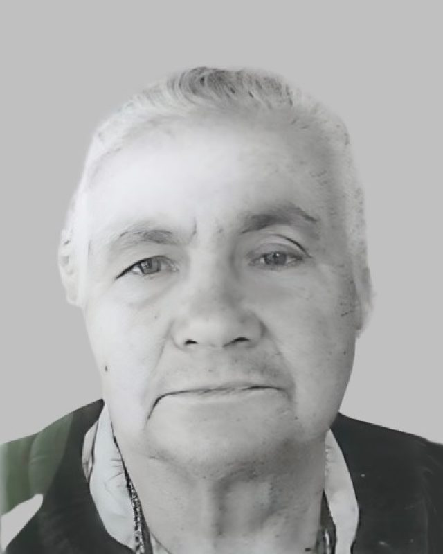 Ana de Jesus Gomes de Campos