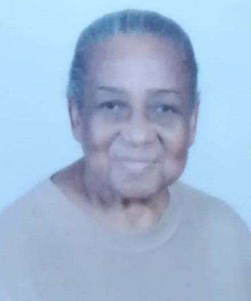 Angelina da Silva Pederneira