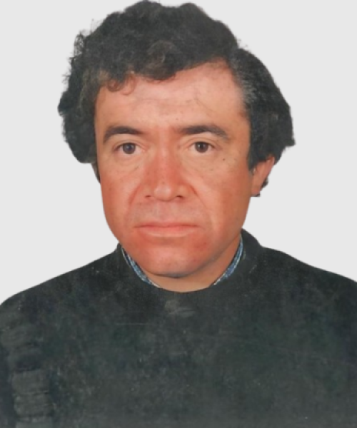 António Araújo Fonseca