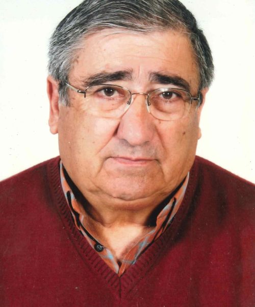 António Cardoso Ribeiro
