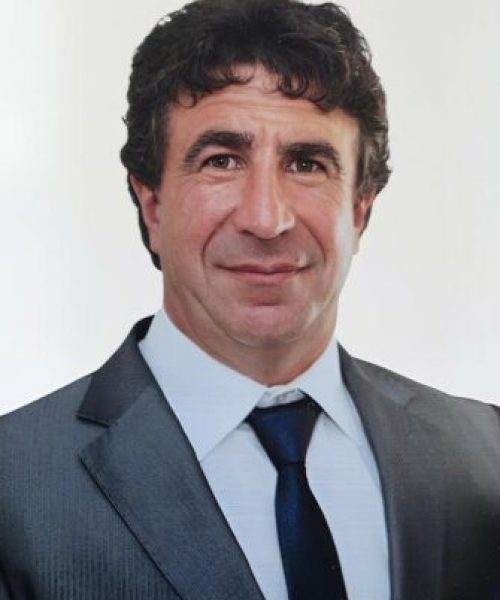 António Domingues Lopes Alves