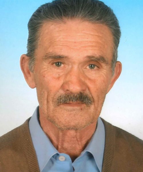 António Gomes da Costa