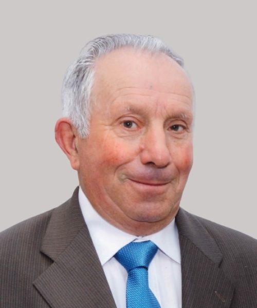 António Martins de Araújo