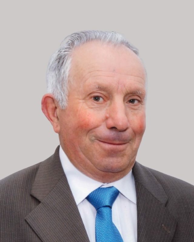 António Martins de Araújo