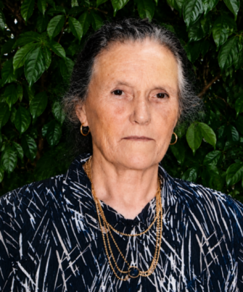 Arminda dos Santos