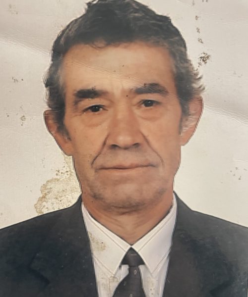 Avelino Ferreira de Sousa Alves