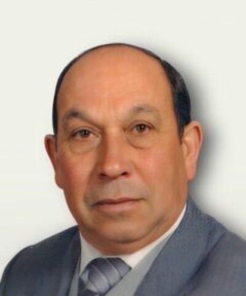 Bernardino da Silva Vilas Boas