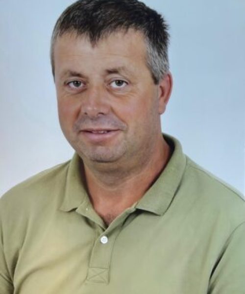 Carlos Manuel Faria de Araújo