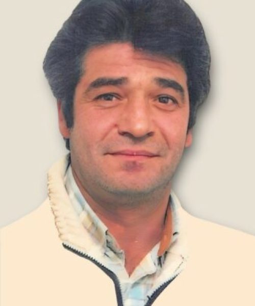 Carlos Manuel Rodrigues da Silva