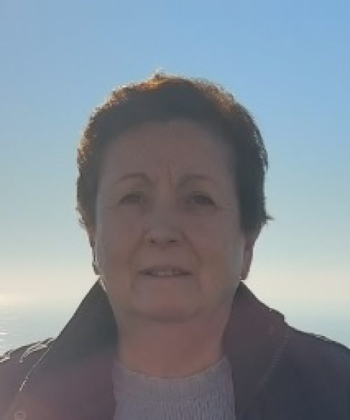Clementina da Costa Fernandes