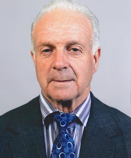 Daniel Carvalho Palhares