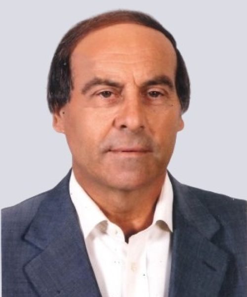 Delfim de Azevedo Santos