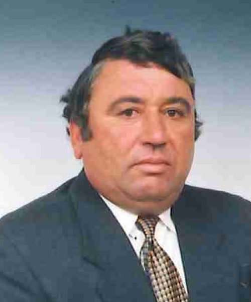 Domingos Araújo Miranda