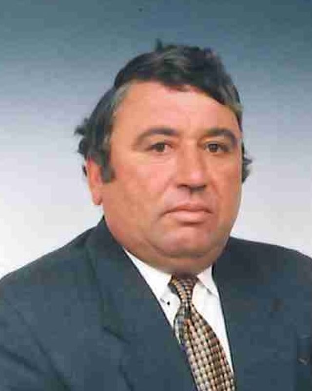 Domingos Araújo Miranda