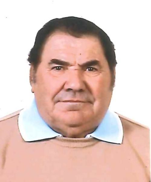 Domingos da Costa Ferreira