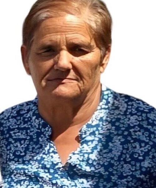 Elsa Maria Neiva Martins Fonseca