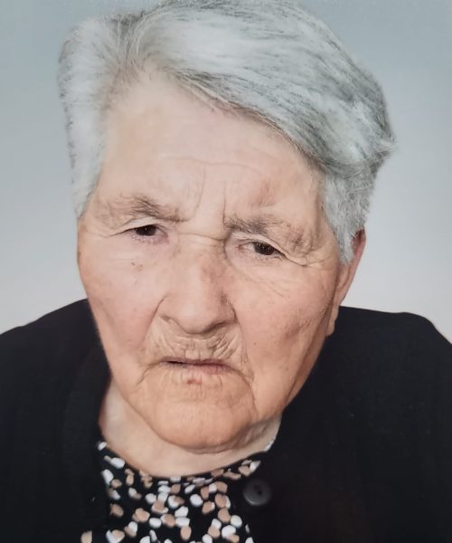 Elvira da Silva Briote