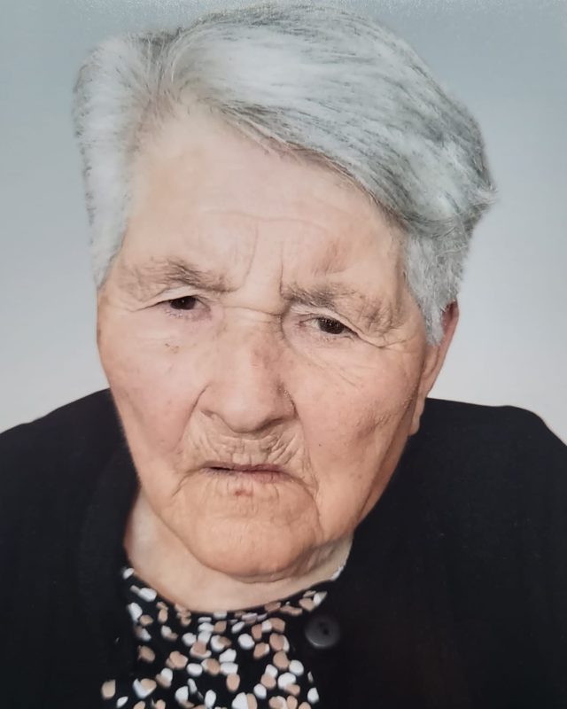 Elvira da Silva Briote