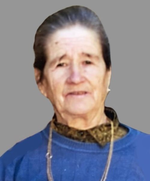Emília Ferreira de Araújo
