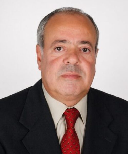 Joaquim Peniche Barreiras