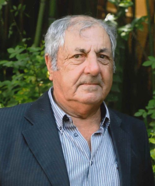 Joaquim da Costa Domingues Catarino