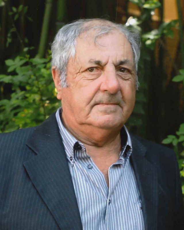 Joaquim da Costa Domingues Catarino