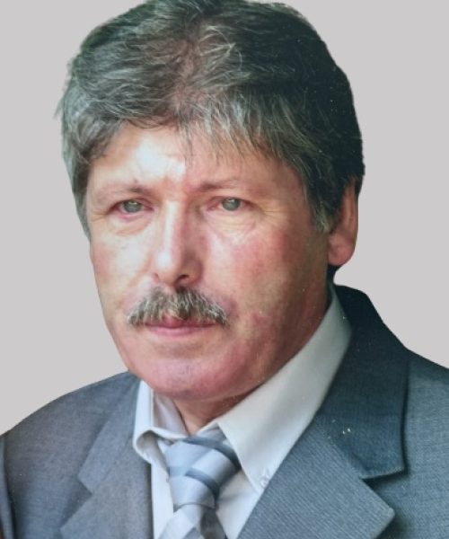 José Alfredo Ramos da Silva