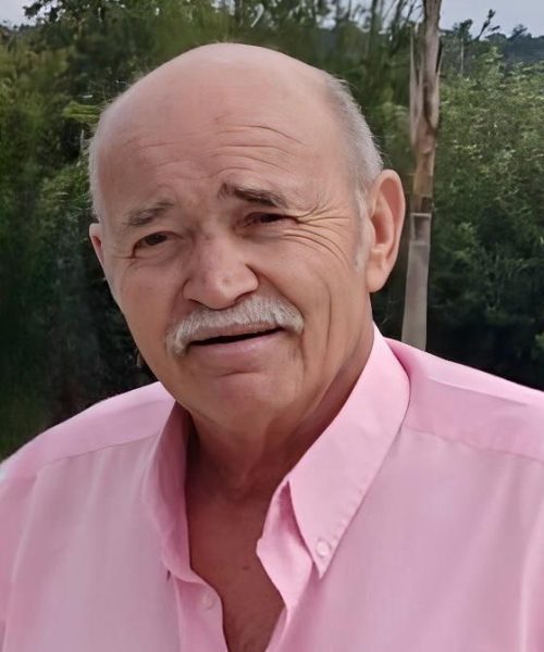 José António Pereira da Silva