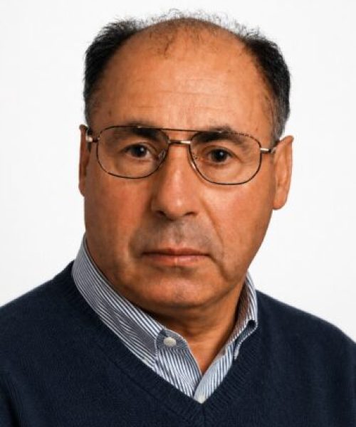 José Ferreira Mendes