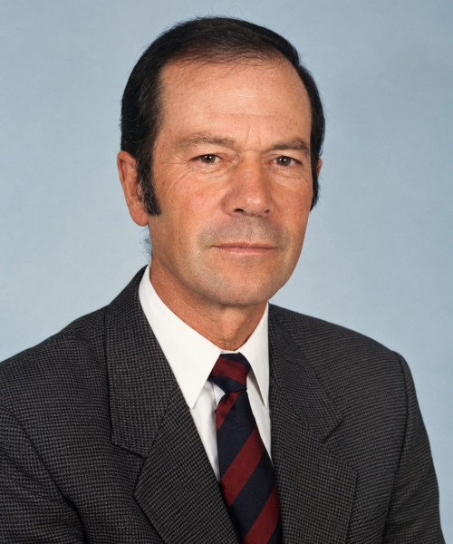José Ferreira de Azevedo Figueiras