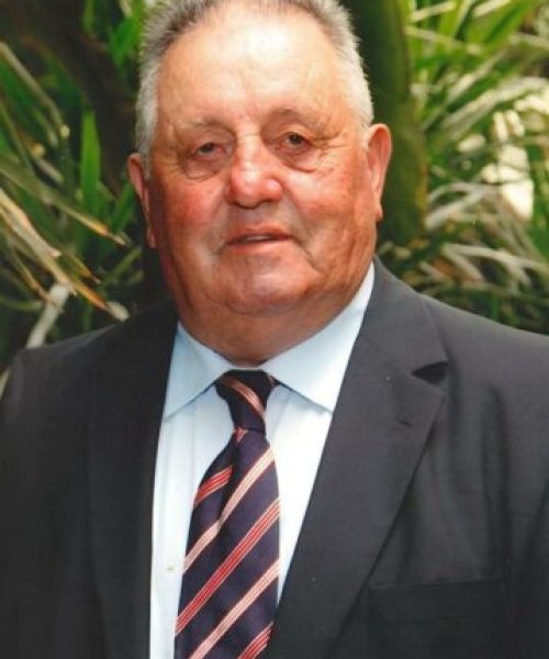 José Ramiro da Silva Ilhão