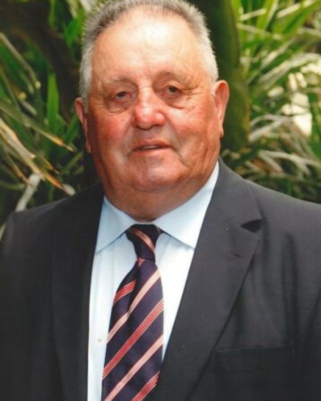 José Ramiro da Silva Ilhão