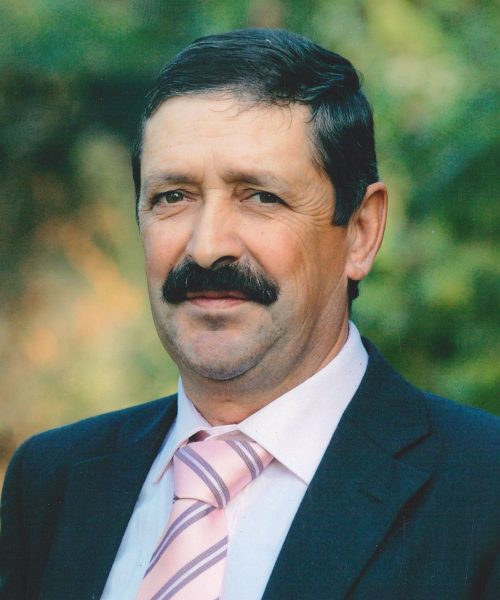 José da Costa Araújo