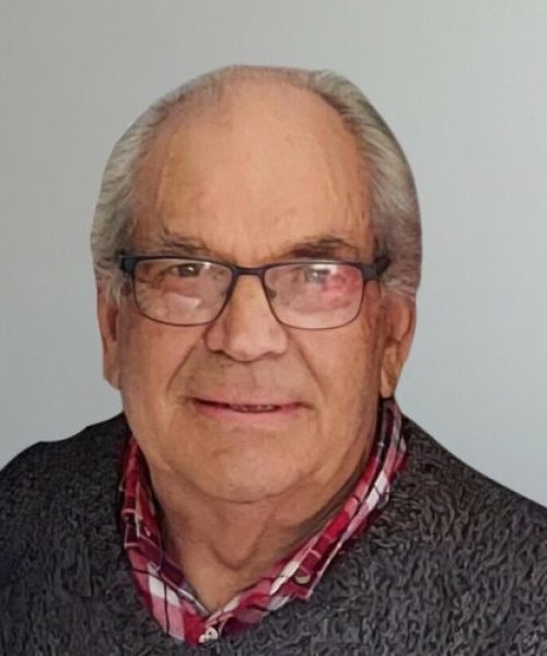 José da Silva Novais