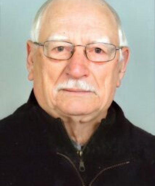 José de Araújo Campos