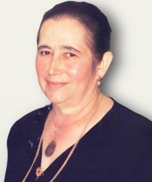 Júlia Campelo da Silva Ferreira