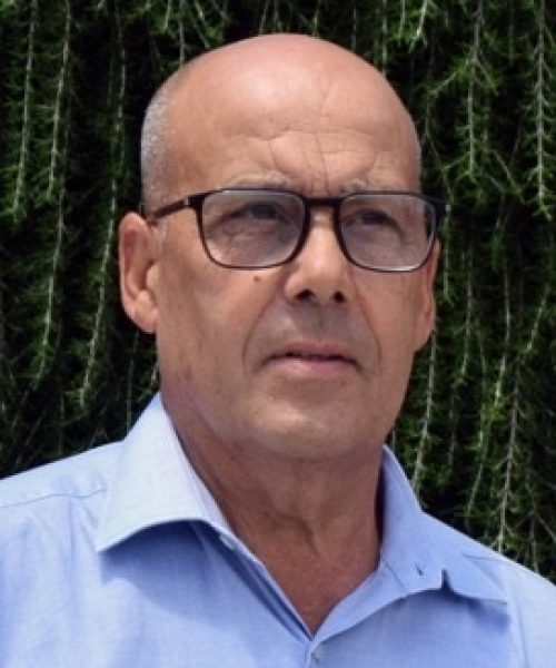 Júlio da Silva Ferreira