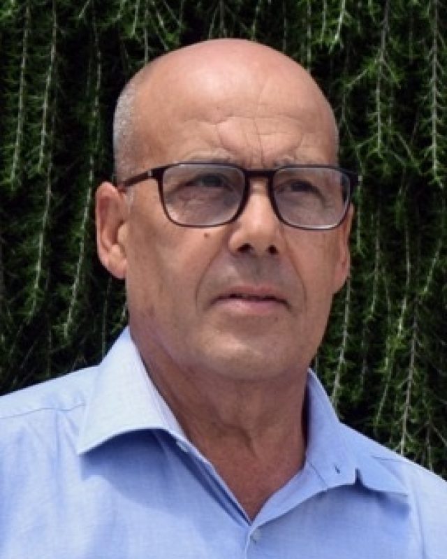 Júlio da Silva Ferreira